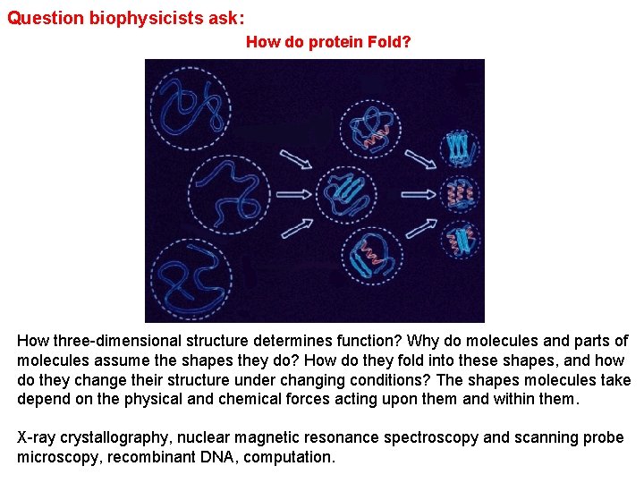 Question biophysicists ask: How do protein Fold? How three-dimensional structure determines function? Why do