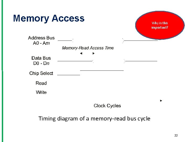 Memory Access Why is this important? Timing diagram of a memory-read bus cycle 22