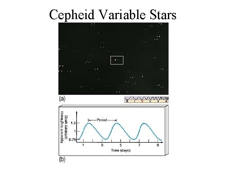 Cepheid Variable Stars 