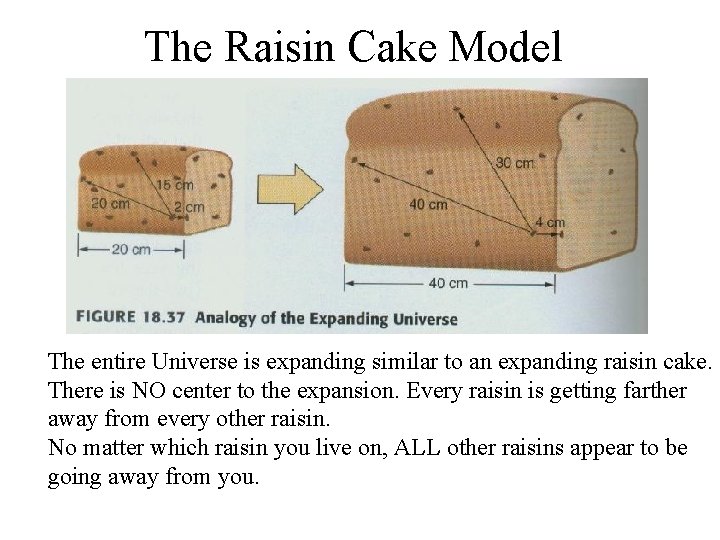 The Raisin Cake Model The entire Universe is expanding similar to an expanding raisin