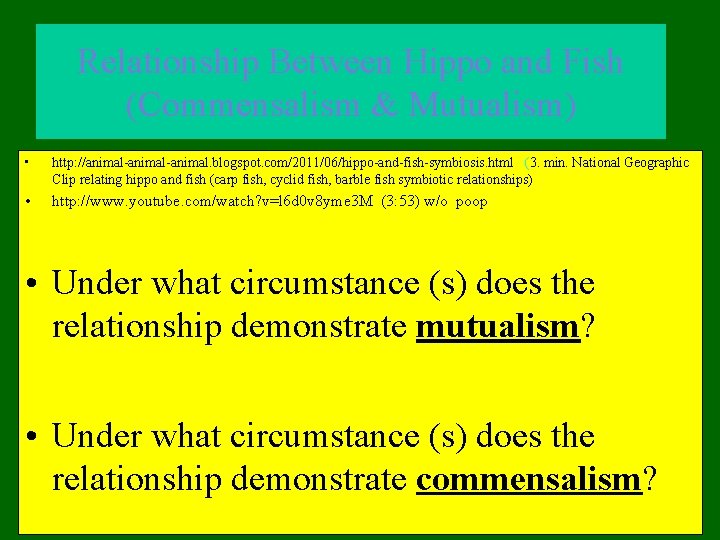 Relationship Between Hippo and Fish (Commensalism & Mutualism) • http: //animal-animal. blogspot. com/2011/06/hippo-and-fish-symbiosis. html