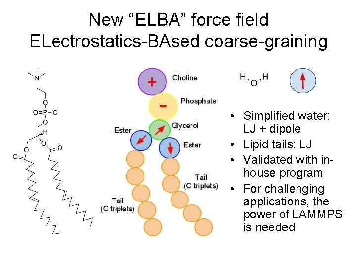 New “ELBA” force field ELectrostatics-BAsed coarse-graining • Simplified water: LJ + dipole • Lipid