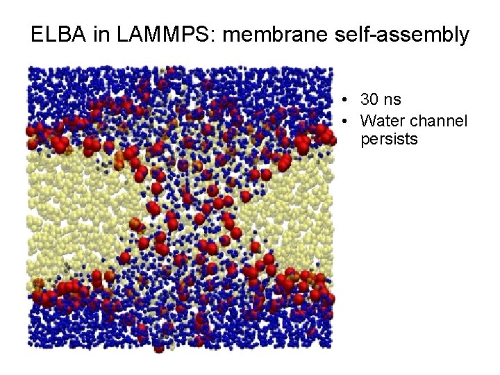 ELBA in LAMMPS: membrane self-assembly • 30 ns • Water channel persists 
