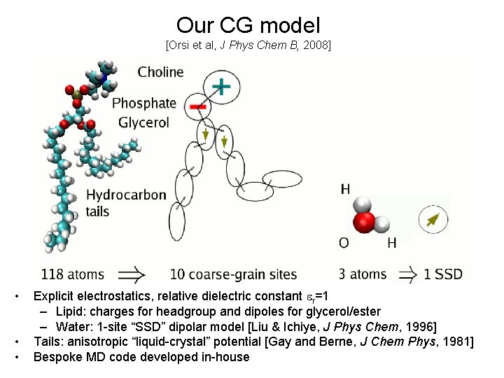 Our CG model [Orsi et al, J Phys Chem B, 2008] • • •