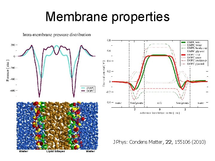Membrane properties J Phys: Condens Matter, 22, 155106 (2010) 