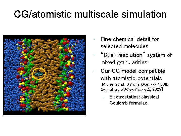 CG/atomistic multiscale simulation Fine chemical detail for selected molecules • “Dual-resolution” system of mixed