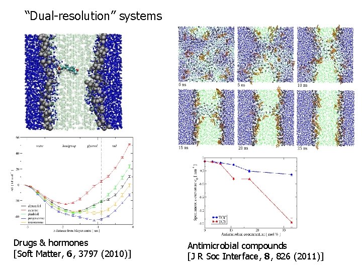 “Dual-resolution” systems Drugs & hormones [Soft Matter, 6, 3797 (2010)] Antimicrobial compounds [J R