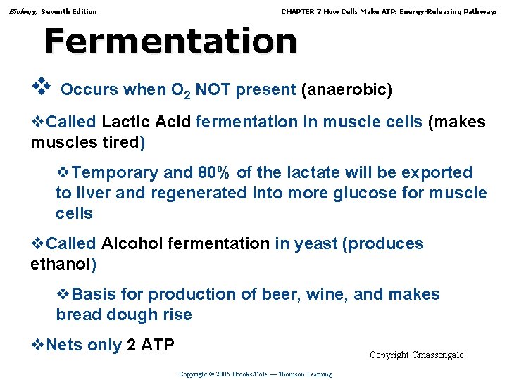 Biology, Seventh Edition CHAPTER 7 How Cells Make ATP: Energy-Releasing Pathways Fermentation v Occurs