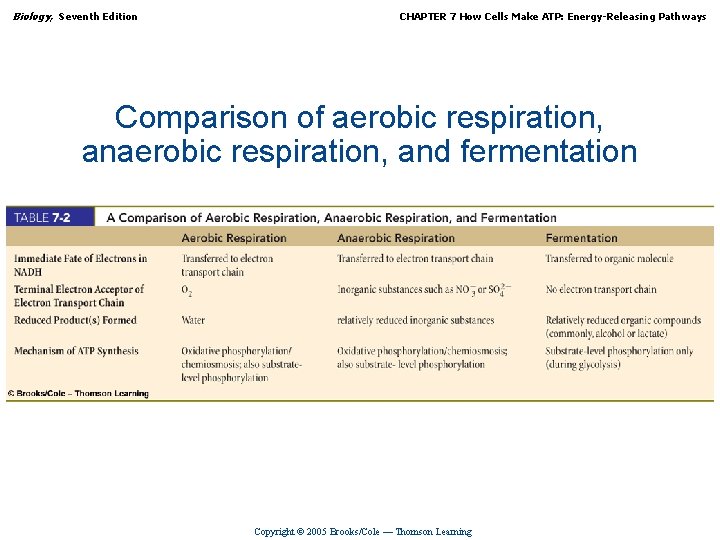 Biology, Seventh Edition CHAPTER 7 How Cells Make ATP: Energy-Releasing Pathways Comparison of aerobic