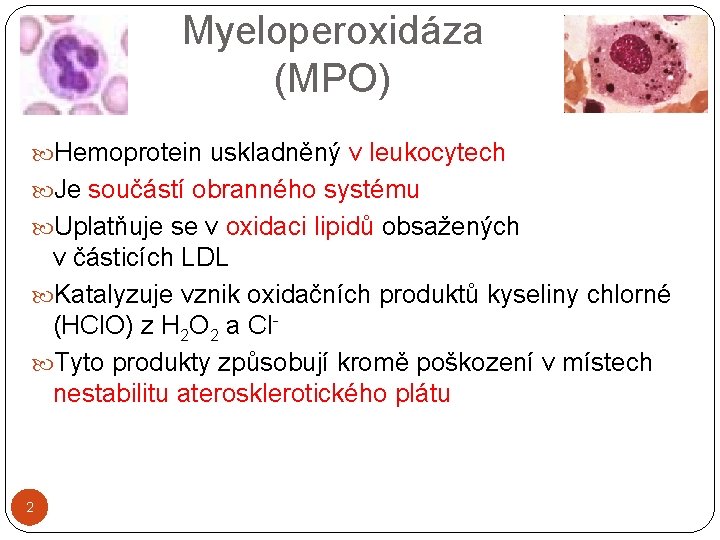 Myeloperoxidáza (MPO) Hemoprotein uskladněný v leukocytech Je součástí obranného systému Uplatňuje se v oxidaci