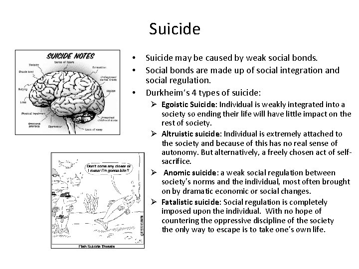 Suicide • • • Suicide may be caused by weak social bonds. Social bonds