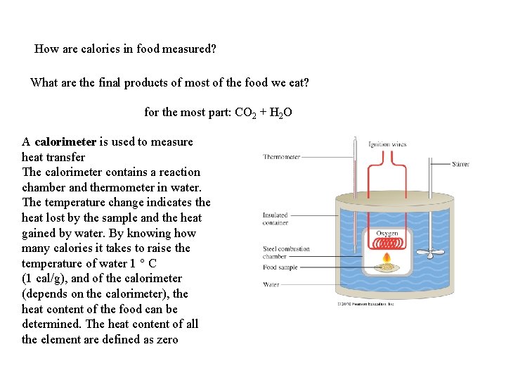 How are calories in food measured? What are the final products of most of