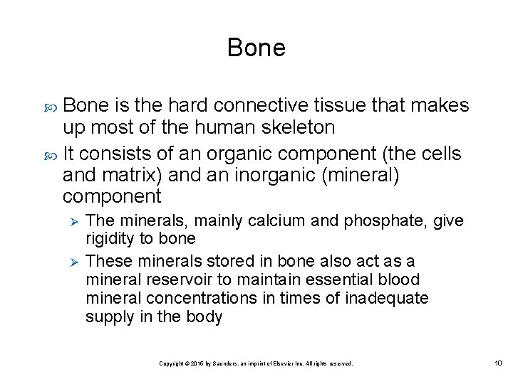 Bone is the hard connective tissue that makes up most of the human skeleton