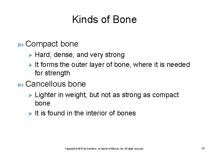 Kinds of Bone Compact bone Ø Ø Hard, dense, and very strong It forms