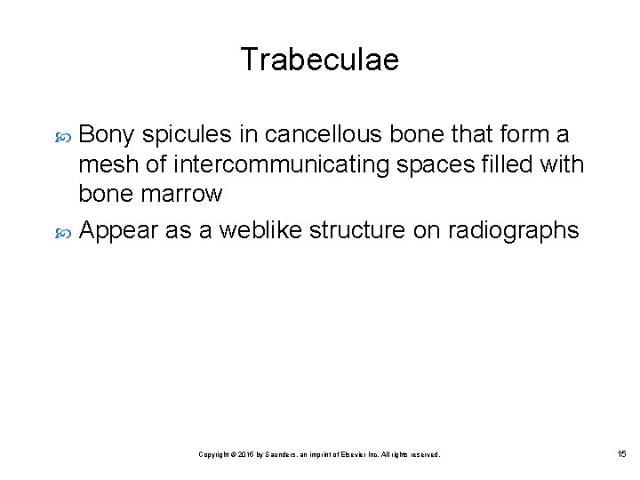 Trabeculae Bony spicules in cancellous bone that form a mesh of intercommunicating spaces filled