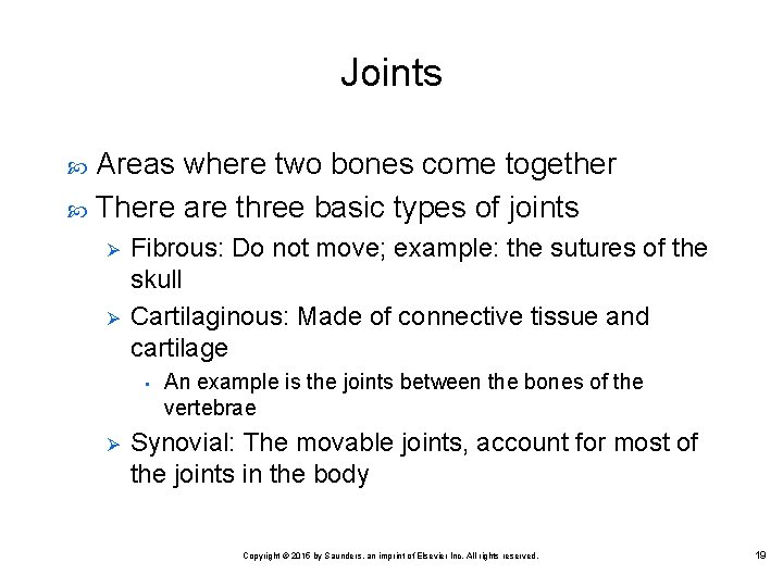 Joints Areas where two bones come together There are three basic types of joints