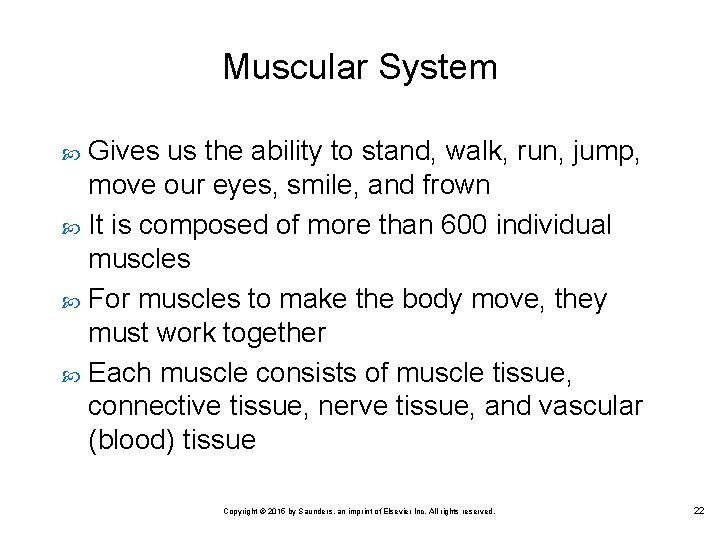 Muscular System Gives us the ability to stand, walk, run, jump, move our eyes,