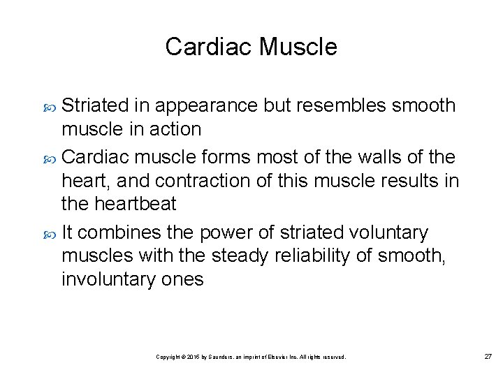 Cardiac Muscle Striated in appearance but resembles smooth muscle in action Cardiac muscle forms