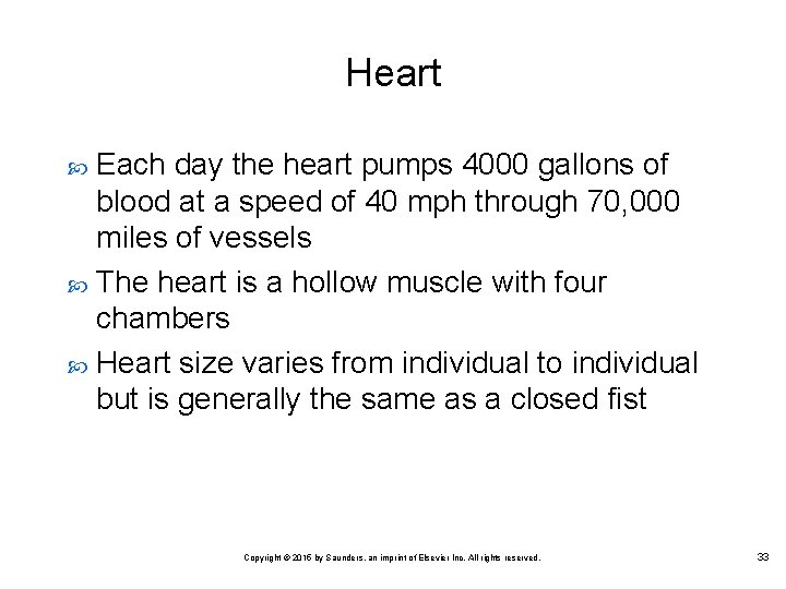 Heart Each day the heart pumps 4000 gallons of blood at a speed of
