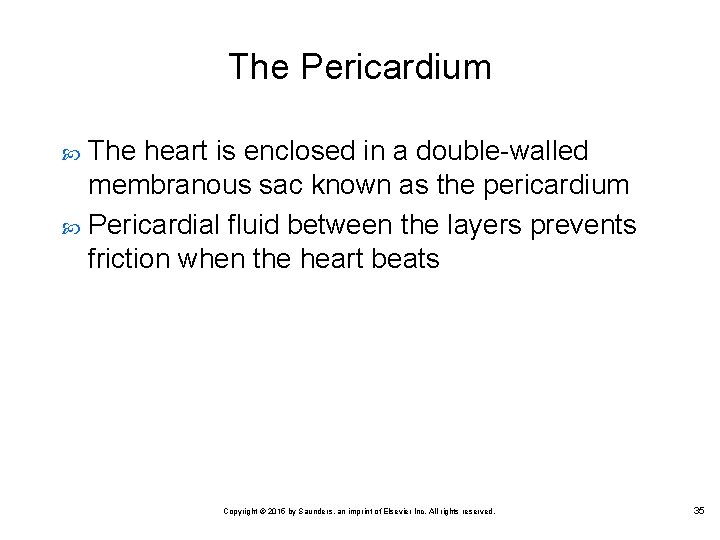 The Pericardium The heart is enclosed in a double walled membranous sac known as