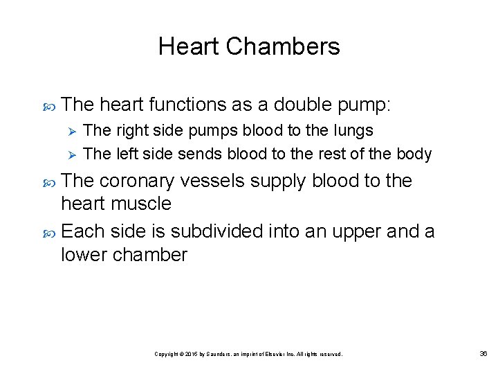 Heart Chambers The heart functions as a double pump: Ø Ø The right side