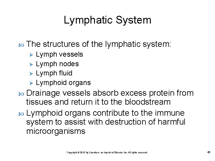 Lymphatic System The structures of the lymphatic system: Ø Ø Lymph vessels Lymph nodes