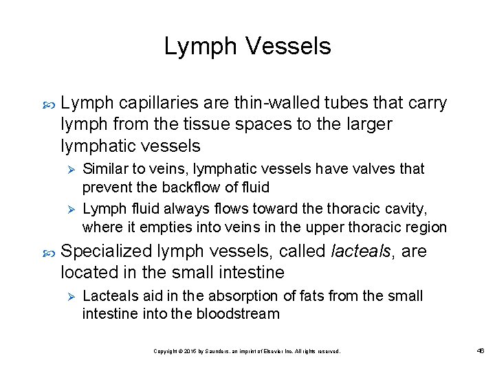 Lymph Vessels Lymph capillaries are thin walled tubes that carry lymph from the tissue