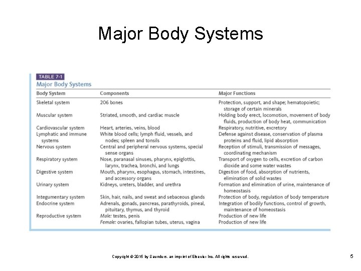 Major Body Systems Copyright © 2015 by Saunders, an imprint of Elsevier Inc. All