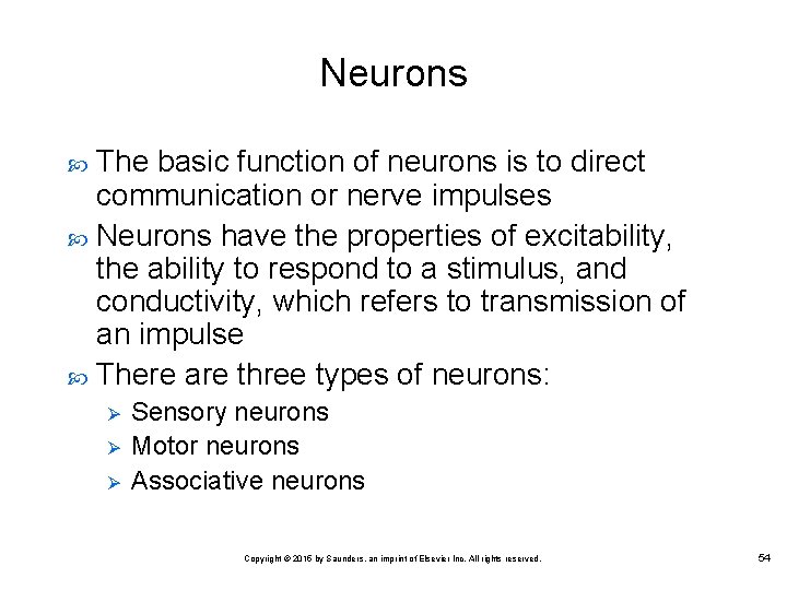 Neurons The basic function of neurons is to direct communication or nerve impulses Neurons