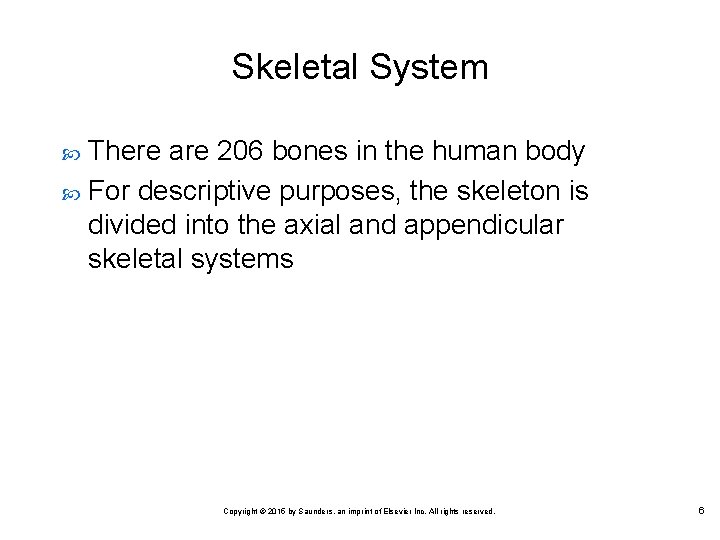 Skeletal System There are 206 bones in the human body For descriptive purposes, the