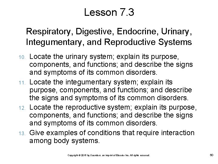 Lesson 7. 3 Respiratory, Digestive, Endocrine, Urinary, Integumentary, and Reproductive Systems 10. 11. 12.