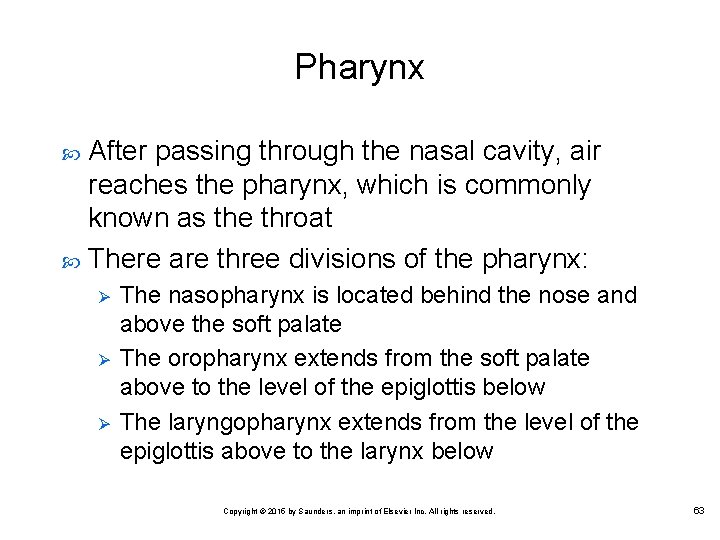 Pharynx After passing through the nasal cavity, air reaches the pharynx, which is commonly