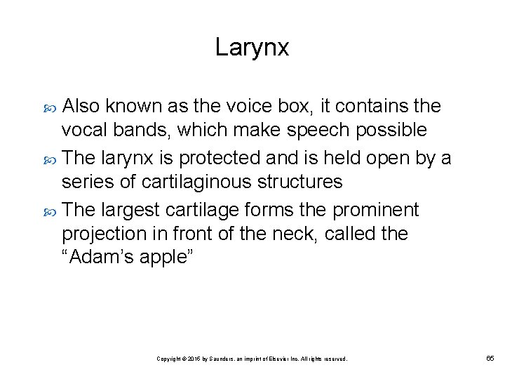 Larynx Also known as the voice box, it contains the vocal bands, which make