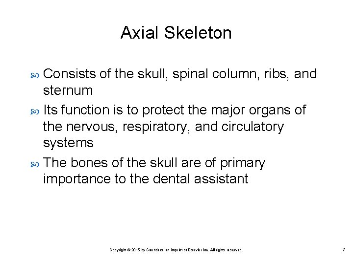 Axial Skeleton Consists of the skull, spinal column, ribs, and sternum Its function is