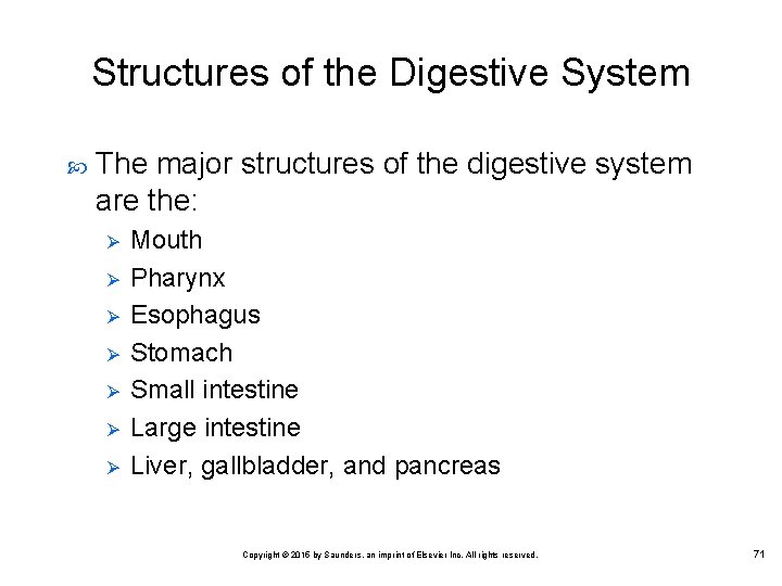 Structures of the Digestive System The major structures of the digestive system are the: