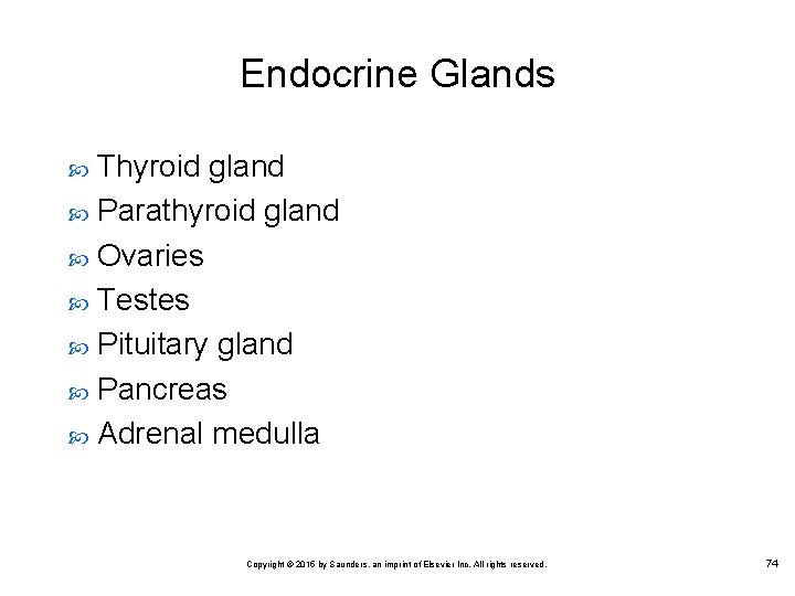 Endocrine Glands Thyroid gland Parathyroid gland Ovaries Testes Pituitary gland Pancreas Adrenal medulla Copyright
