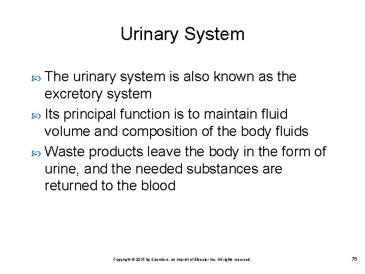 Urinary System The urinary system is also known as the excretory system Its principal