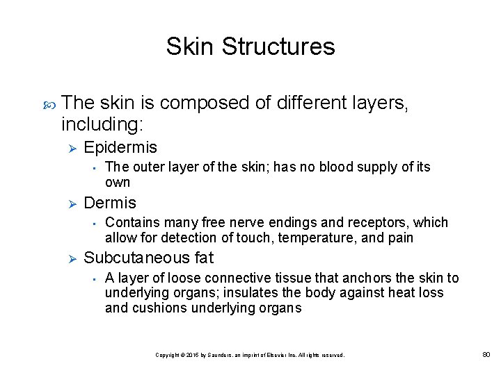 Skin Structures The skin is composed of different layers, including: Ø Epidermis • Ø
