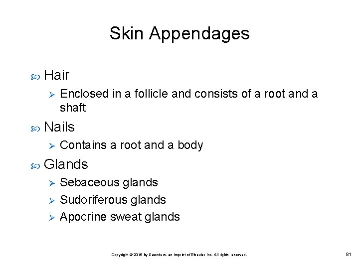 Skin Appendages Hair Ø Nails Ø Enclosed in a follicle and consists of a