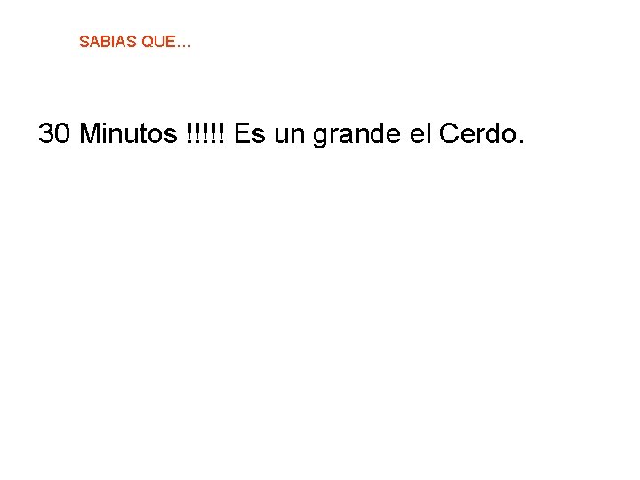 SABIAS QUE… 30 Minutos !!!!! Es un grande el Cerdo. 