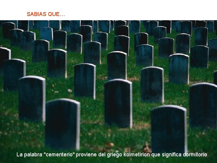 SABIAS QUE… La palabra "cementerio" proviene del griego koimetirion que significa dormitorio 