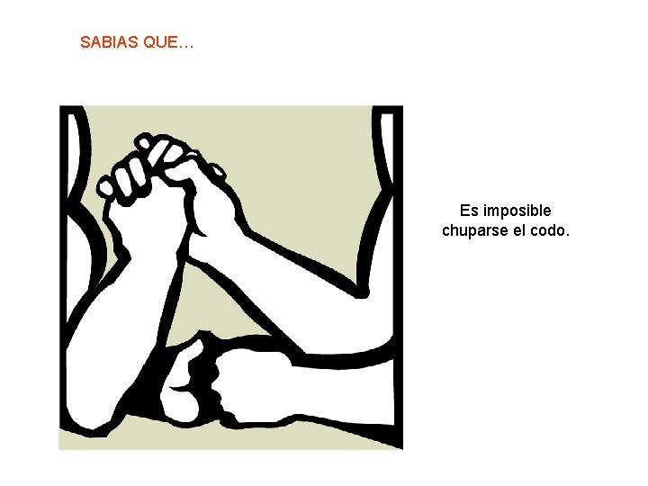 SABIAS QUE… Es imposible chuparse el codo. 