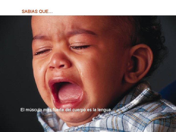 SABIAS QUE… El músculo mas fuerte del cuerpo es la lengua. 