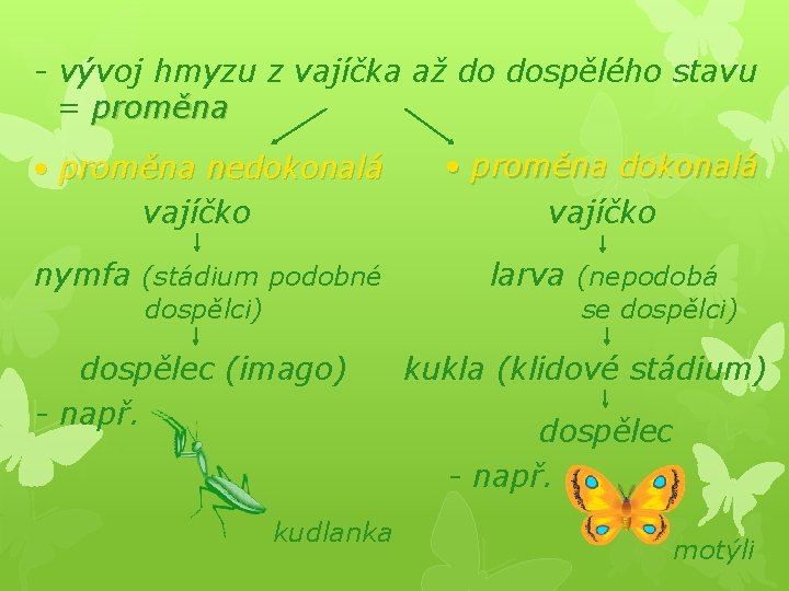 - vývoj hmyzu z vajíčka až do dospělého stavu = proměna • proměna nedokonalá