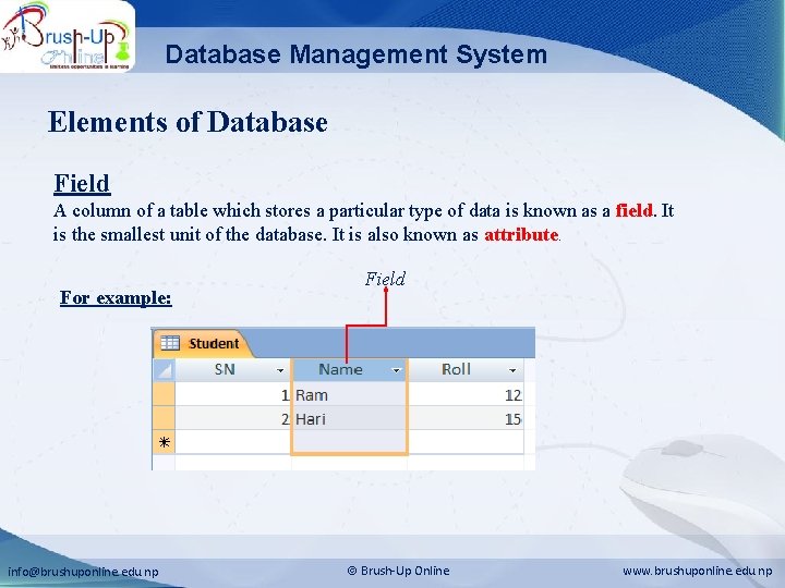 Database Management System Elements of Database Field A column of a table which stores