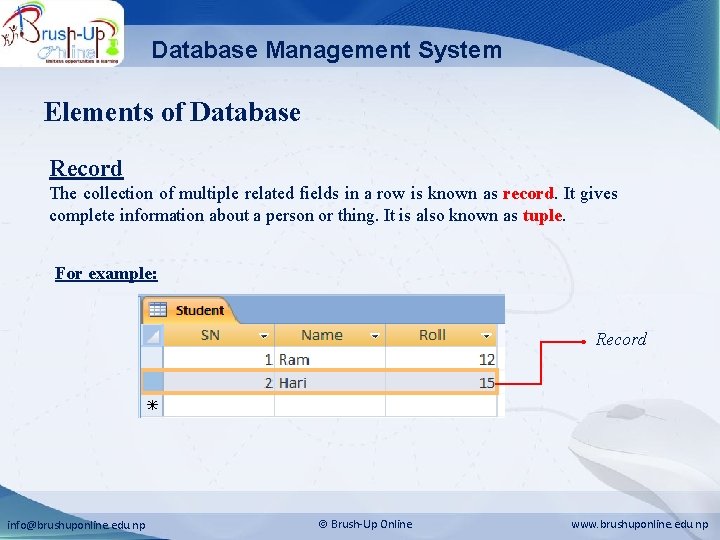 Database Management System Elements of Database Record The collection of multiple related fields in