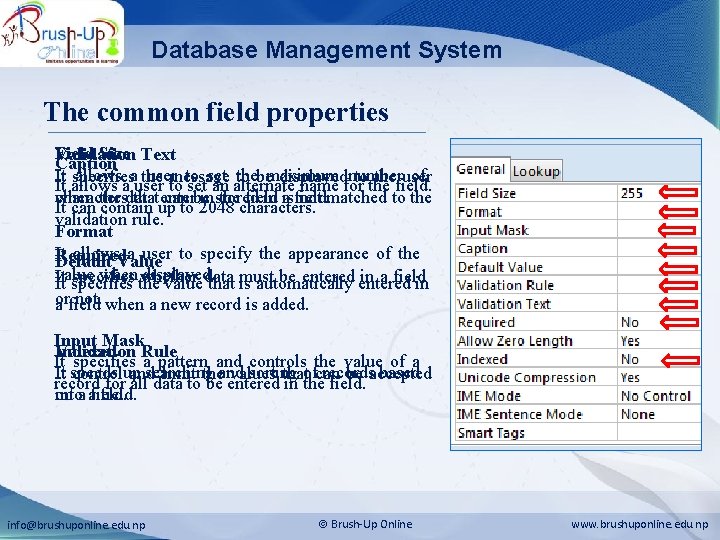 Database Management System The common field properties Field Size Text Validation Caption It specifies