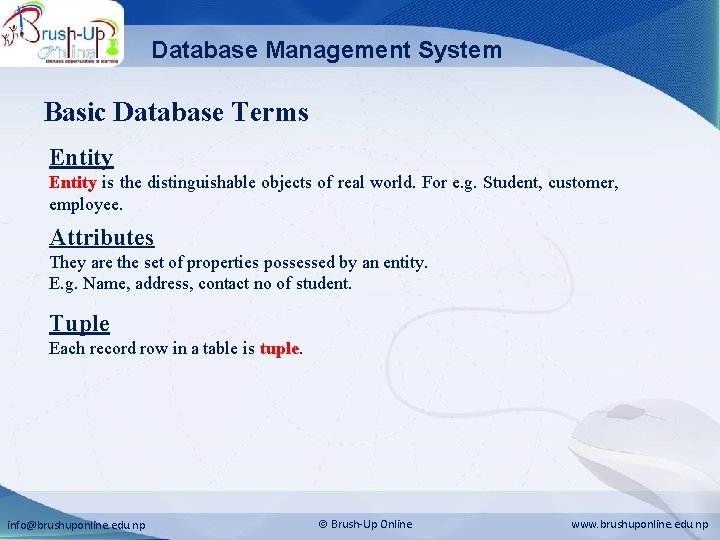 Database Management System Basic Database Terms Entity is the distinguishable objects of real world.