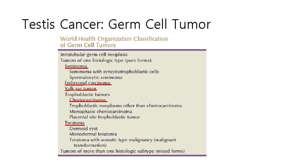 Testis Cancer: Germ Cell Tumor 