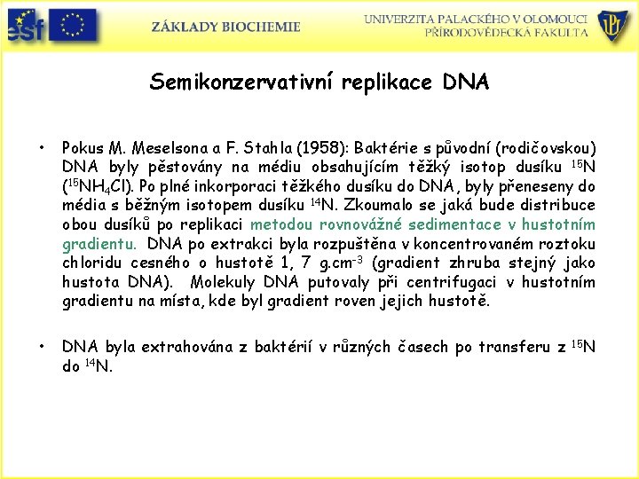 Semikonzervativní replikace DNA • Pokus M. Meselsona a F. Stahla (1958): Baktérie s původní